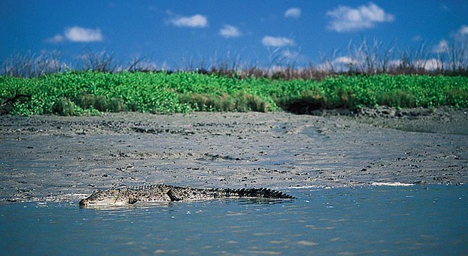 Image courtesy of Tourism NT