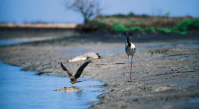 Image courtesy of Tourism NT