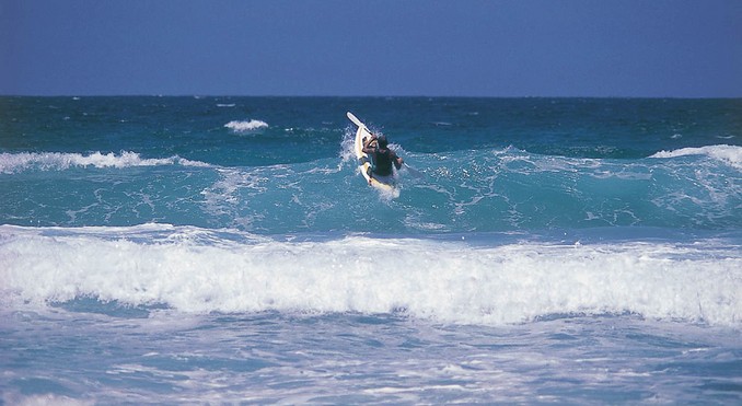 Image courtesy of Tourism New South Wales