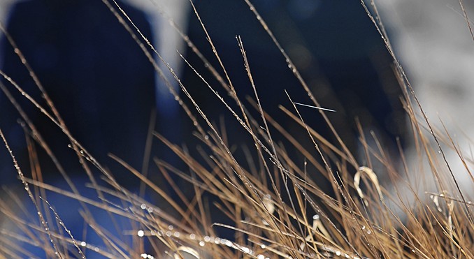 Image courtesy of Tourism NT
