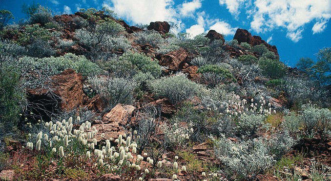 Image courtesy of Tourism NT