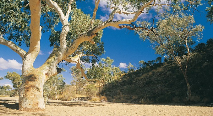 Image courtesy of Tourism NT