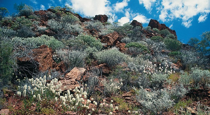 Image courtesy of Tourism NT