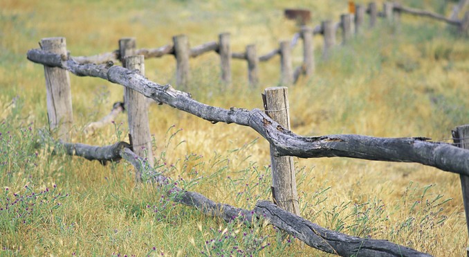 Image courtesy of Tourism New South Wales