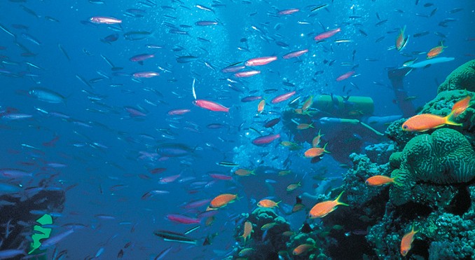 Image courtesy of Tourism Queensland