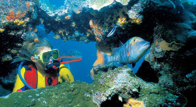 Image courtesy of Tourism Queensland