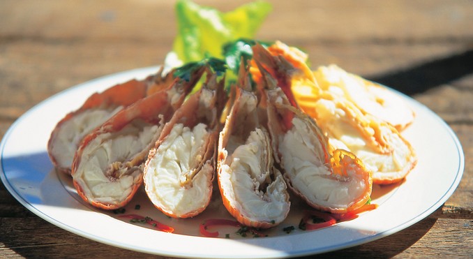 Image courtesy of Tourism Queensland