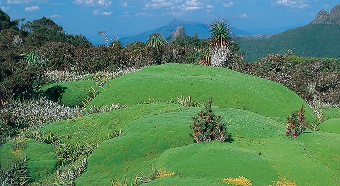Tourism Tasmania and Geoff Murray