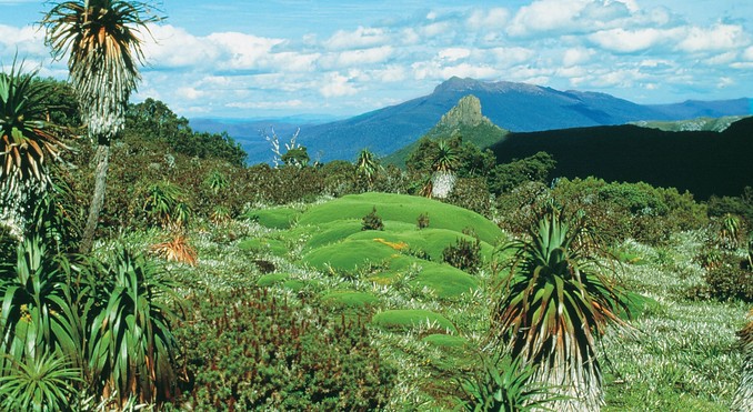 Tourism Tasmania & Gilbert Hayes