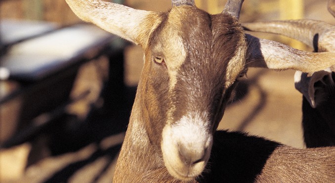 Image courtesy of South Australia