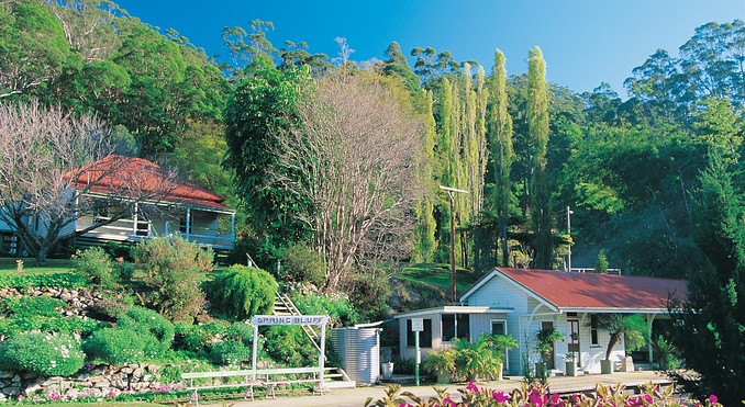 Image courtesy of Tourism Queensland