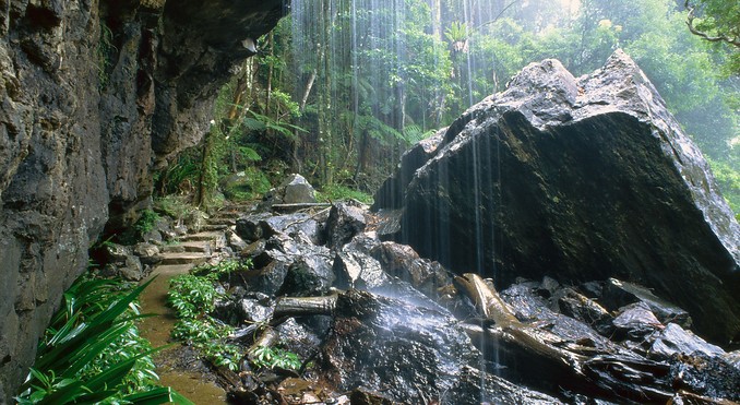 Image courtesy of Tourism Queensland