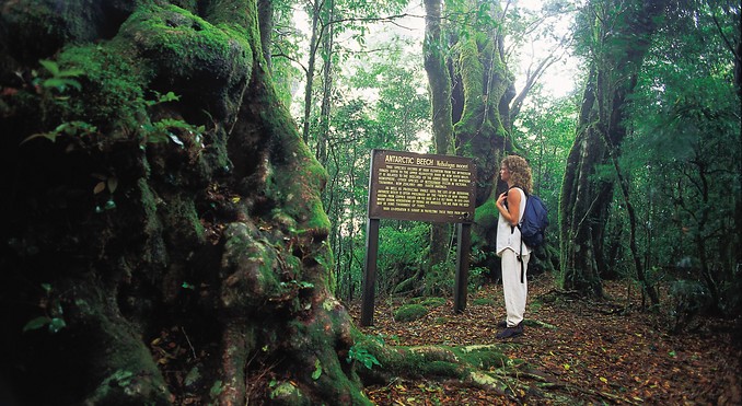 Image courtesy of Tourism Queensland