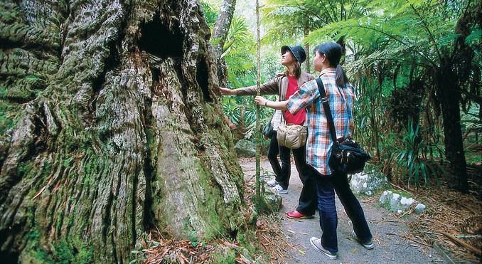 Image courtesy of Tourism Queensland