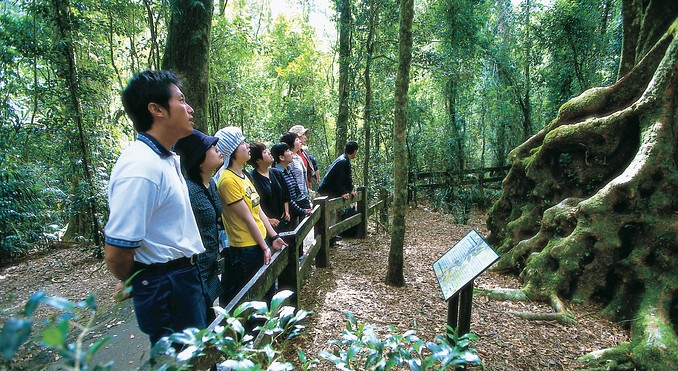 Image courtesy of Tourism Queensland