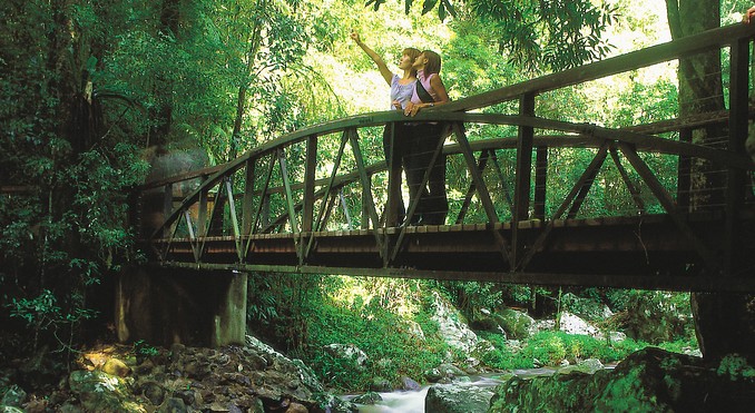 Image courtesy of Tourism Queensland