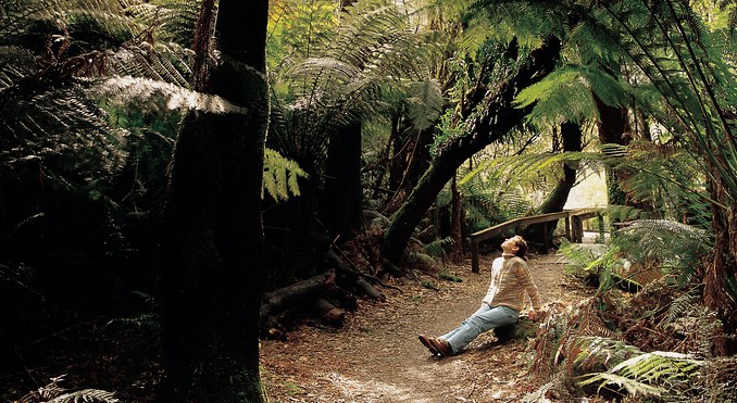 Tourism Tasmania and Geoffrey Lea
