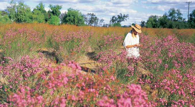 Image courtesy of Tourism Queensland