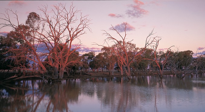 Image courtesy of Tourism Queensland