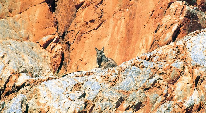 Image courtesy of Tourism NT