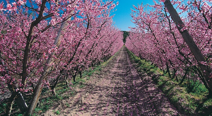 Image courtesy of Tourism Queensland