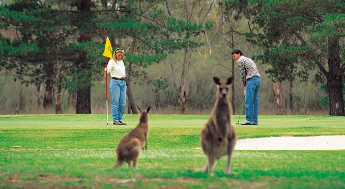 Image courtesy of Tourism Queensland