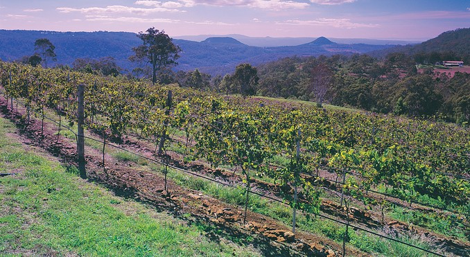 Image courtesy of Tourism Queensland