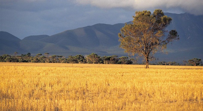 Image courtesy of Western Australia