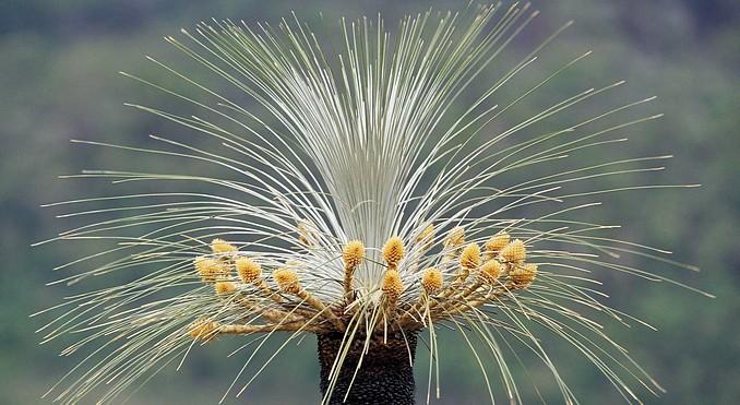 Image courtesy of Western Australia