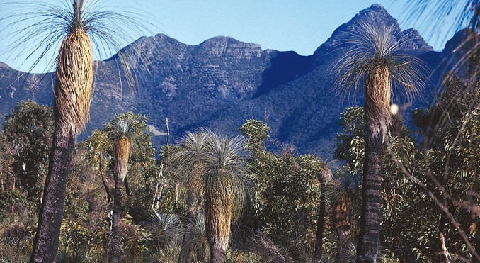 Image courtesy of Western Australia