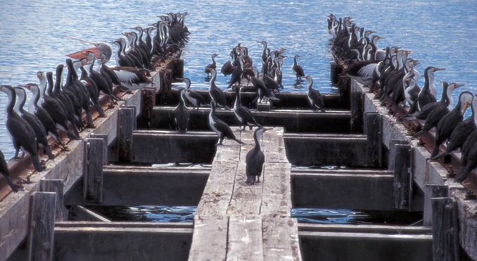 Image courtesy of South Australia