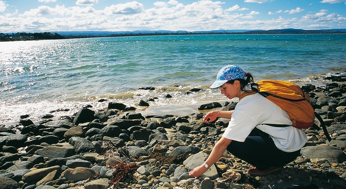Tourism Tasmania and Geoffrey Lea