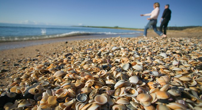 Image courtesy of Tourism Tasmania