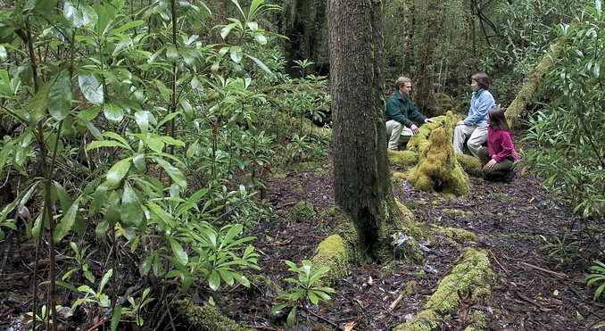 Tourism Tasmania and Nick Osborne