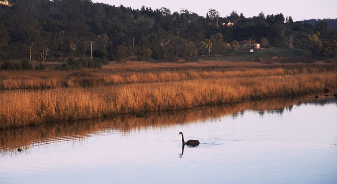 Tourism Tasmania and Geoffrey Lea