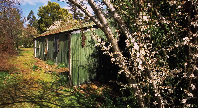 Tourism Tasmania and Geoffrey Lea
