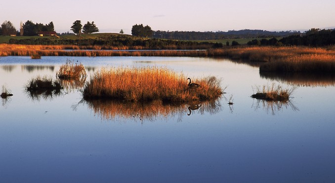 Tourism Tasmania and Geoffrey Lea