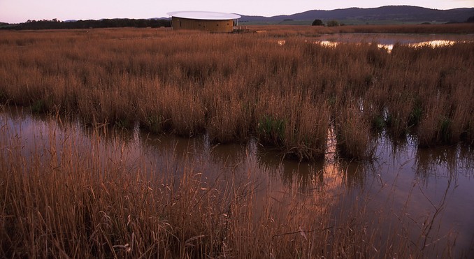Tourism Tasmania and Geoffrey Lea