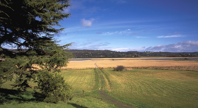 Tourism Tasmania and Geoffrey Lea