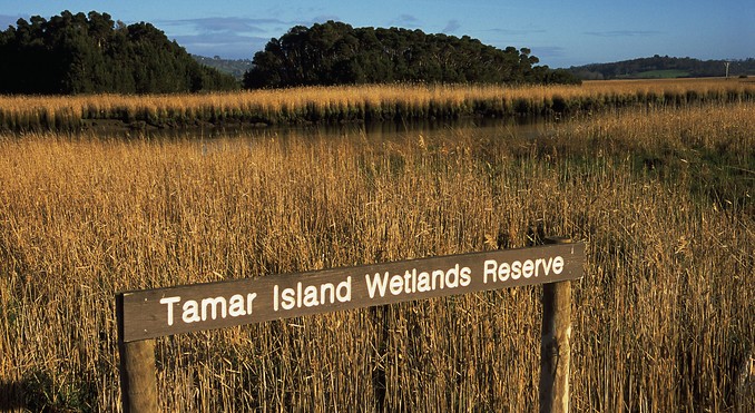 Tourism Tasmania and Geoffrey Lea