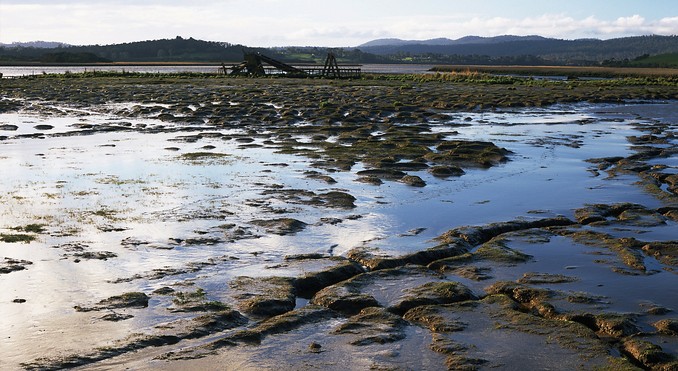 Tourism Tasmania and Geoffrey Lea
