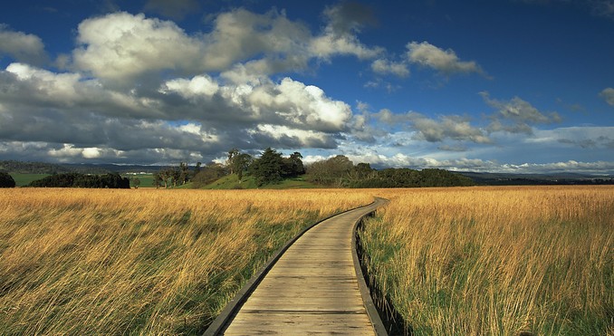 Tamar Island