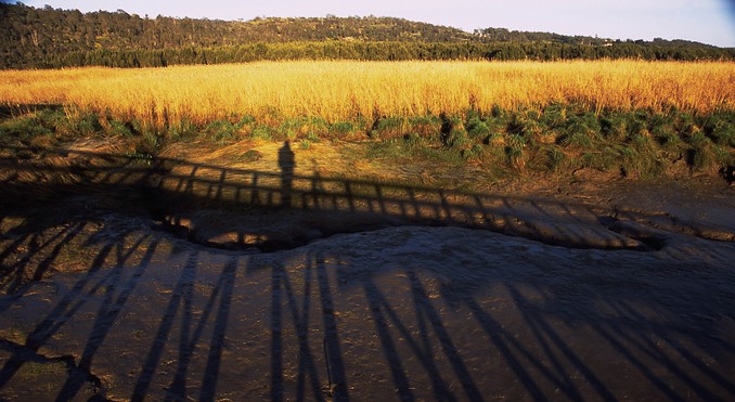 Tourism Tasmania and Geoffrey Lea