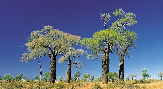 Image courtesy of Tourism Queensland