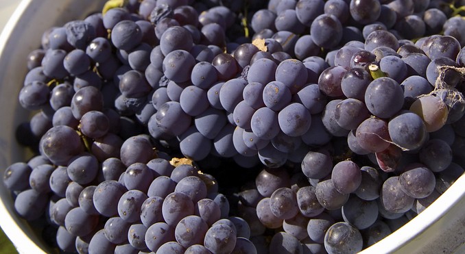 Image courtesy of South Australia