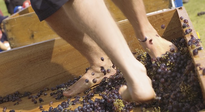 Image courtesy of South Australia