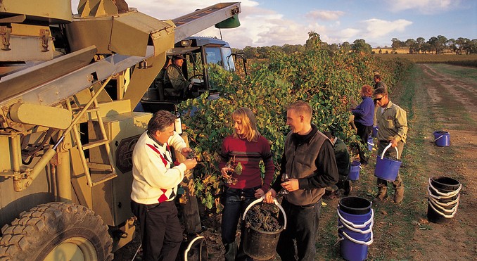 Image courtesy of South Australia