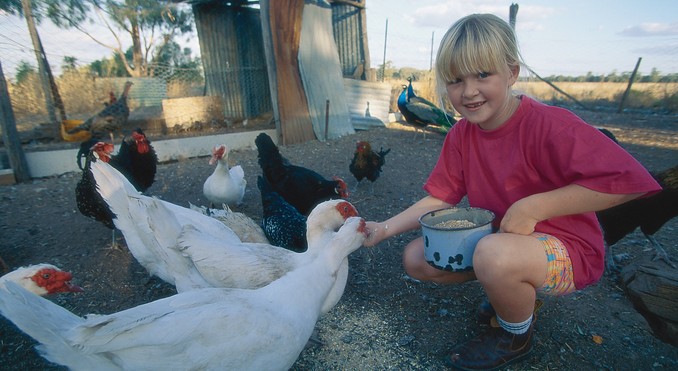 Image courtesy of Tourism Queensland