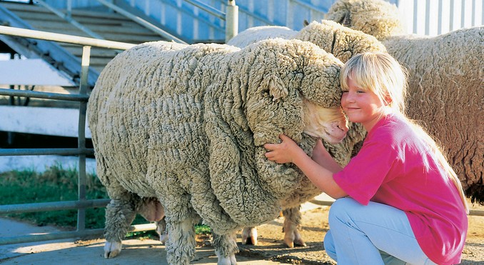Image courtesy of Tourism Queensland