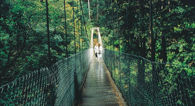 Image courtesy of Tourism Victoria